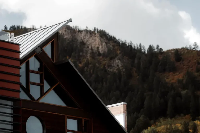 metal roof panels house