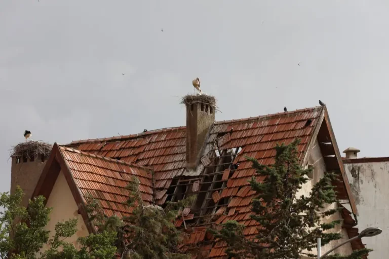 damaged roof tiles repair