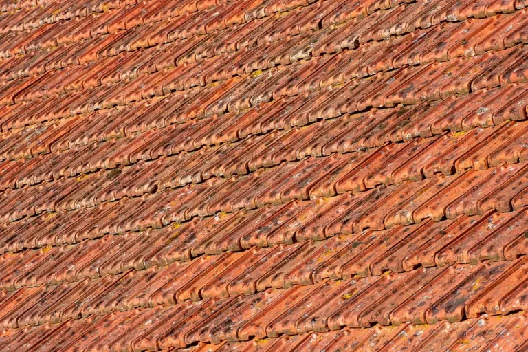 clay tile roof rooftop
