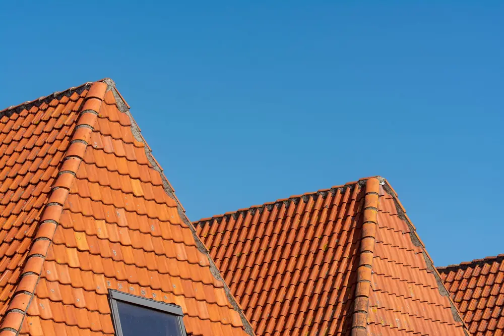 Roof Inspection